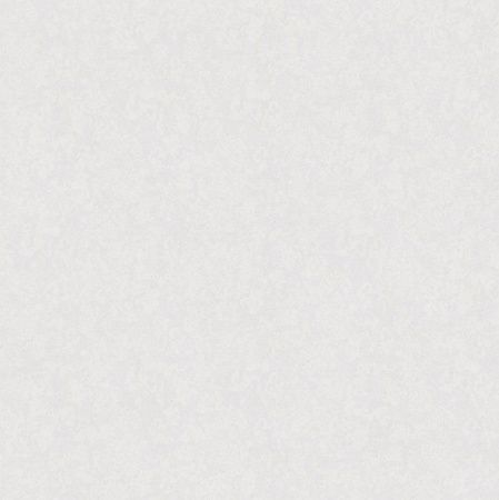 Обои Фурор фон дуплекс С6-00 0,5м*10м Гр.3 (упак. 12 рул. Саратов)