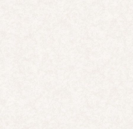 Обои Чаровница фон дуплекс С6-02 0,5м*10м Гр.2 (упак. 12 рул. Саратов)