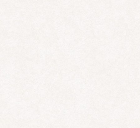 Обои Чаровница фон дуплекс С6-03 0,5м*10м Гр.2 (упак. 12 рул. Саратов)