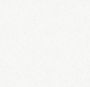 Обои Царица фон дуплекс С6-06 0,5м*10м Гр.2 (упак. 12 рул. Саратов)
