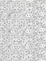 Пленка с/к "HONGDA" арт.1029 (голограф. сереб) 0.45х8м